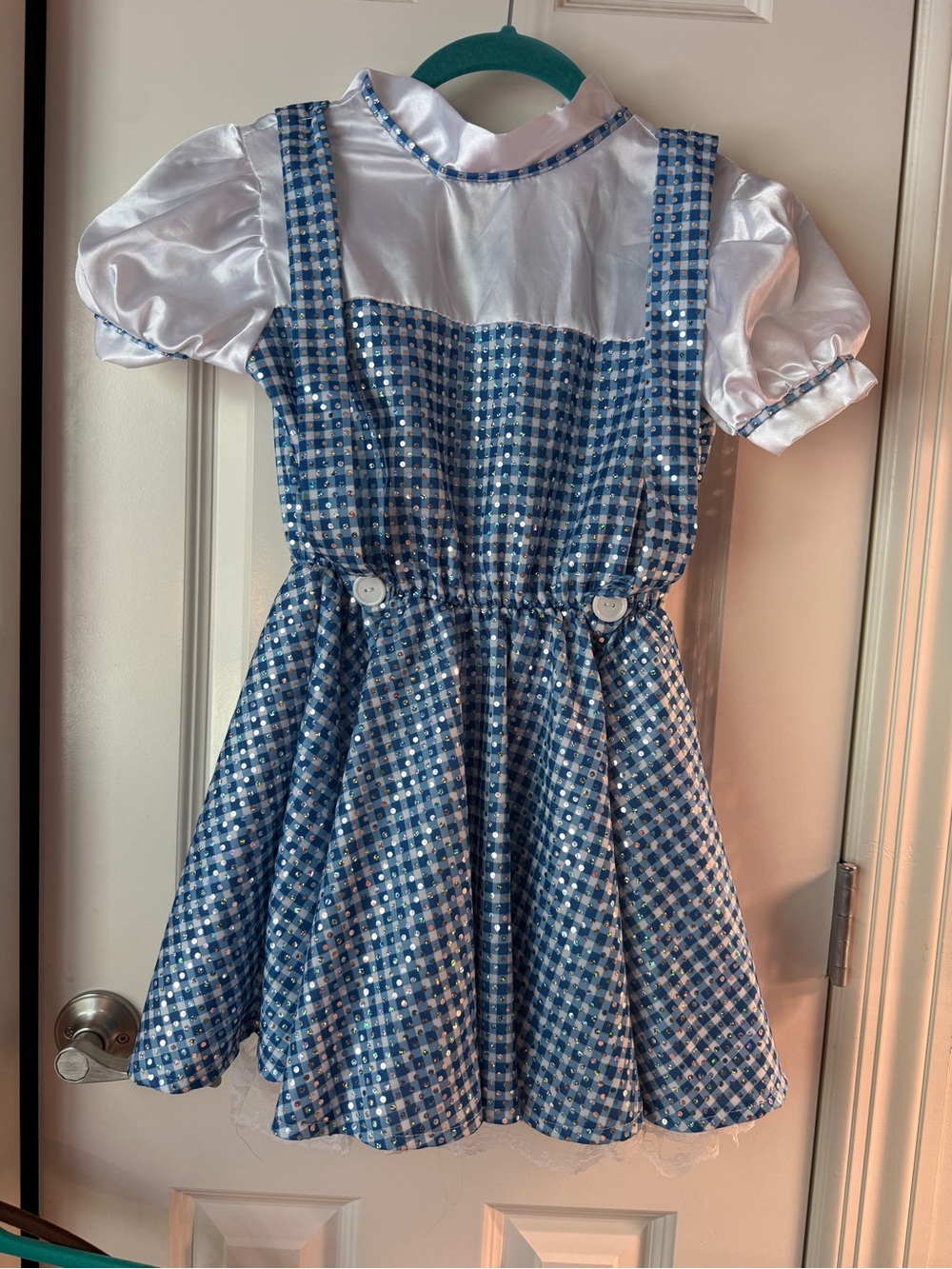 Blue Gingham Sparkle Girls' Costume Dress with White Satin Bodice
